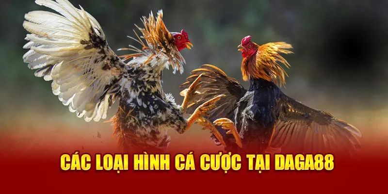 Ảnh: Các loại hình cá cược tại Daga88