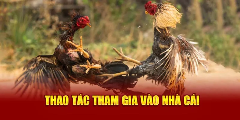 Ảnh: Thao tác tham gia vào nhà cái